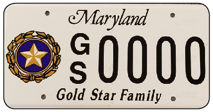 Gold Star Lapel Example Plate