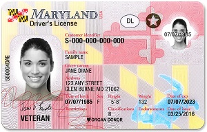 Sample of a Maryland Real ID