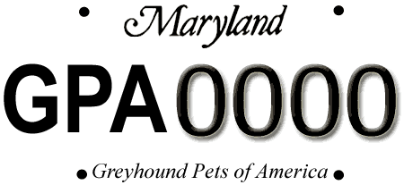 Greyhound Pets of America Maryland Chapter