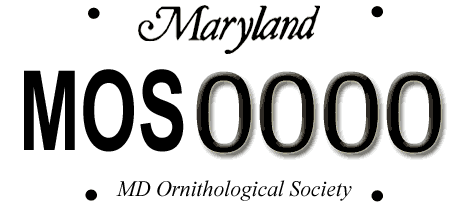 Maryland Ornithological Society