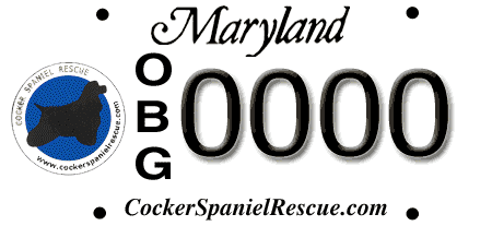 Oldies But Goodies Cocker Spaniel Rescue, Inc.